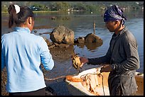 Fisherman giving a freshly caught crab to his wife, Kaneohe Bay, morning. Oahu island, Hawaii, USA ( color)