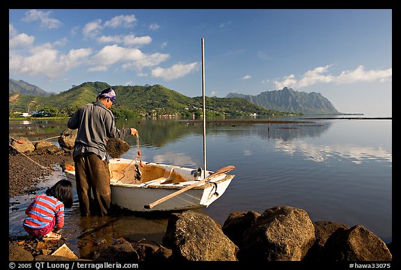 Fisherman pulling out fish out a net as girllooks, Kaneohe Bay, morning. Oahu island, Hawaii, USA (color)