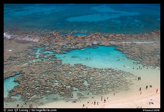 People in the water in the reefs of Hanauma Bay. Oahu island, Hawaii, USA