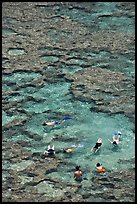 Snorkling in Hanauma Bay. Oahu island, Hawaii, USA (color)