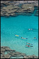 Swimming in Hanamau Bay with snorkels. Oahu island, Hawaii, USA (color)