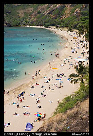 Hanauma Bay beach from above. Oahu island, Hawaii, USA