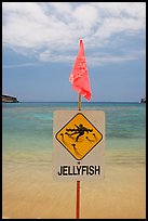 Sign warning against jellyfish,  Hanauma Bay. Oahu island, Hawaii, USA ( color)