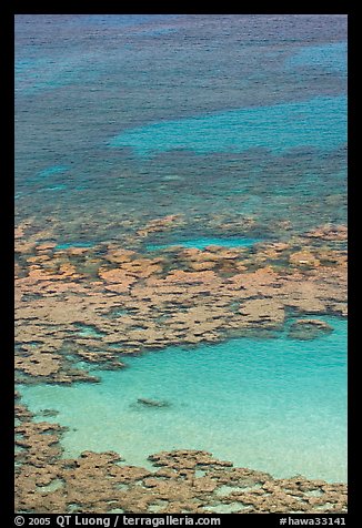 Reefs and sandy pools of Hanauma Bay. Oahu island, Hawaii, USA (color)