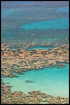 Reefs and sandy pools of Hanauma Bay. Oahu island, Hawaii, USA ( color)