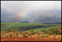 Field, hills, and rainbow. Kauai island, Hawaii, USA ( color)