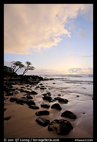 Windblown trees, boulders, and clouds, Lydgate Park, sunrise. Kauai island, Hawaii, USA (color)