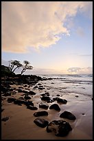 Windblown trees, boulders, and clouds, Lydgate Park, sunrise. Kauai island, Hawaii, USA ( color)