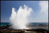 Pictures of Blowholes