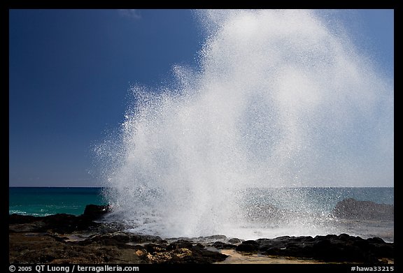 Stream of water shooting up from Spouting Horn. Kauai island, Hawaii, USA