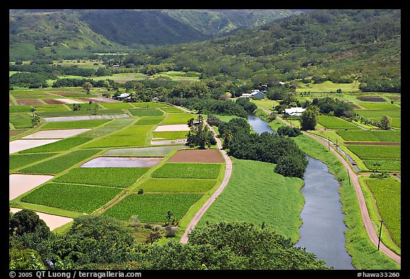 Taro fields and Hanalei River. Kauai island, Hawaii, USA