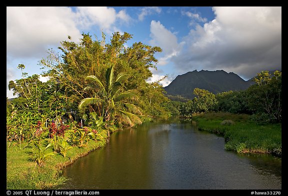 River near Hanalei. North shore, Kauai island, Hawaii, USA (color)