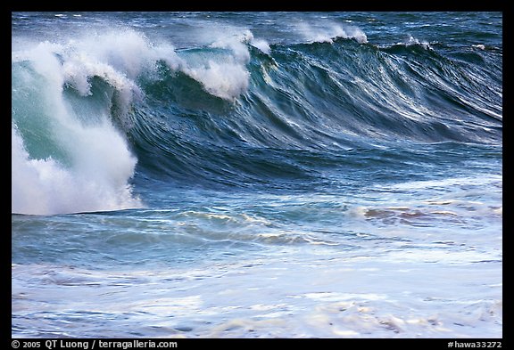 Blue wave. North shore, Kauai island, Hawaii, USA (color)