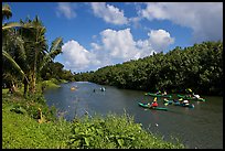 Kayaks, Hanalei River. Kauai island, Hawaii, USA