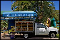 Pickup truck transformed into a fruit stand. Kauai island, Hawaii, USA (color)