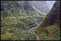 Aerial view of a valley on the slopes of Mt Waialeale. Kauai island, Hawaii, USA (color)