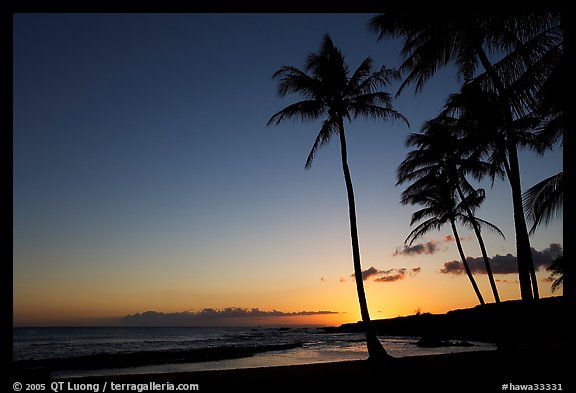 Palm trees and beach, Salt Pond Beach, sunset. Kauai island, Hawaii, USA