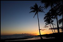 Palm trees and beach, Salt Pond Beach, sunset. Kauai island, Hawaii, USA (color)