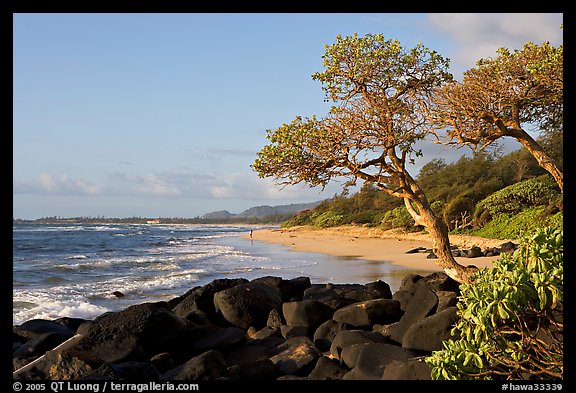 Boulders, trees, and beach, Lydgate Park, early morning. Kauai island, Hawaii, USA (color)