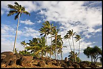 Rocks from a Heiau at the mounth of the Waiula River. Kauai island, Hawaii, USA (color)
