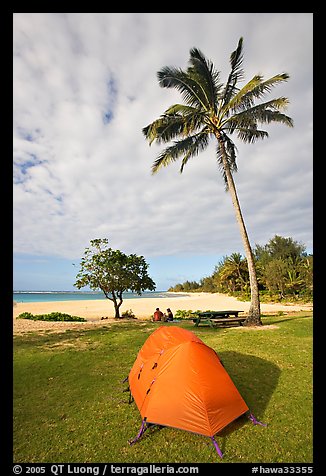 Tent and palm trees, Haena beach park. North shore, Kauai island, Hawaii, USA