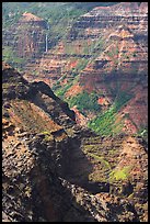 Waipoo falls and Waimea Canyon, afternoon. Kauai island, Hawaii, USA ( color)