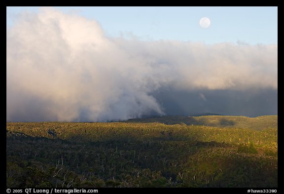 Alakai Swamp and clouds,  sunset. Kauai island, Hawaii, USA