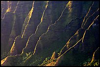 Ridges, Kalalau Valley, sunset. Kauai island, Hawaii, USA (color)
