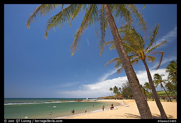 Coconut trees and Salt Pond Beach, mid-day. Kauai island, Hawaii, USA