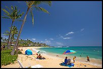 Sun unbrellas and palm trees, mid-day, Poipu Beach. Kauai island, Hawaii, USA ( color)