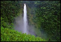 Akaka Falls. Akaka Falls State Park, Big Island, Hawaii, USA