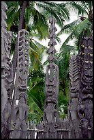 Polynesian idols, Puuhonua o Honauau National Historical Park. Big Island, Hawaii, USA ( color)