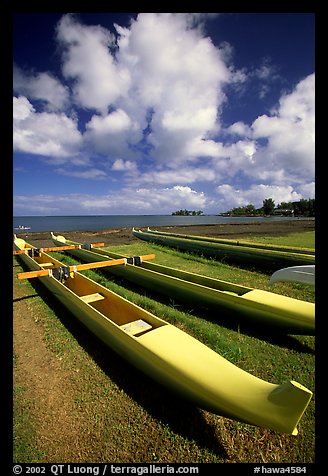 Outtrigger canoes on  beach,  Hilo. Big Island, Hawaii, USA (color)