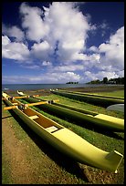 Outtrigger canoes on  beach,  Hilo. Big Island, Hawaii, USA