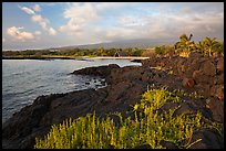 Lava shoreline, Kaloko-Honokohau National Historical Park. Hawaii, USA