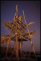 Altar and palm tree at night, Kaloko-Honokohau National Historical Park. Hawaii, USA