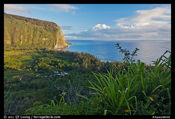 Waipio Valley and Ocean at sunrise. Big Island, Hawaii, USA (color)