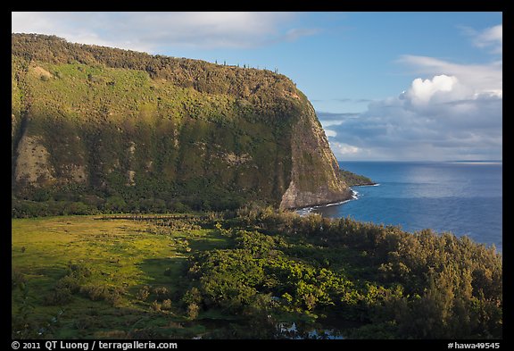 Steep valley walls, Waipio Valley. Big Island, Hawaii, USA (color)