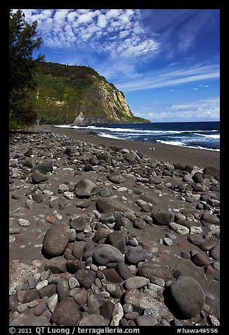 Rocks and black sand beach, Waipio Valley. Big Island, Hawaii, USA (color)