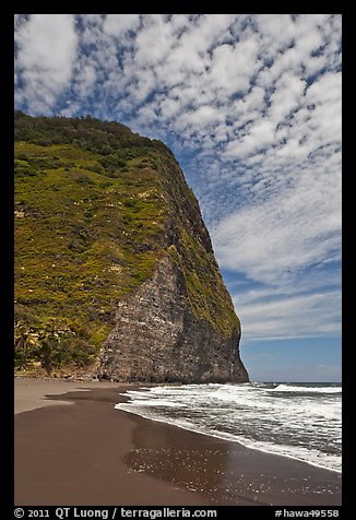 Black sand beach and cliff, Waipio Valley. Big Island, Hawaii, USA