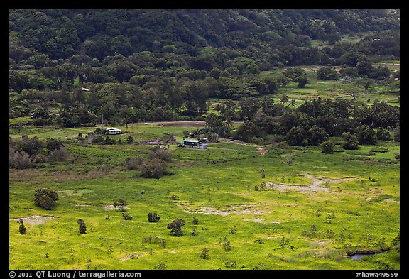 Valley farmlands from above, Waipio Valley. Big Island, Hawaii, USA (color)