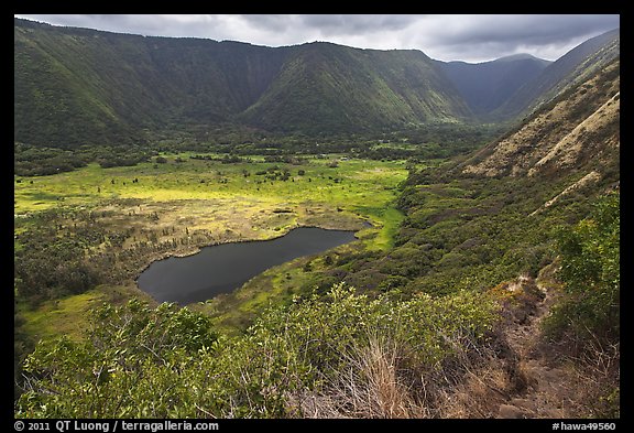 Waipio Valley. Big Island, Hawaii, USA (color)