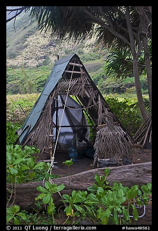 Hut, Waipio Valley. Big Island, Hawaii, USA (color)