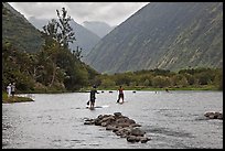 Men paddleboarding on river, Waipio Valley. Big Island, Hawaii, USA (color)