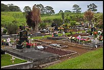 Hilo cemetery. Big Island, Hawaii, USA ( color)