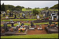 Japanese graves, Hilo. Big Island, Hawaii, USA (color)