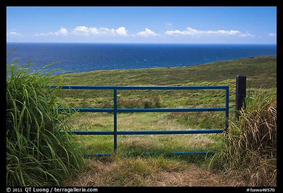 Gate, field, and Ocean. Big Island, Hawaii, USA
