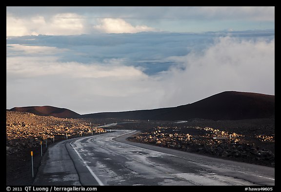 Road and sea of clouds. Mauna Kea, Big Island, Hawaii, USA
