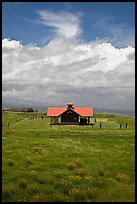 Rural building with bright red roof in ranchland. Big Island, Hawaii, USA (color)