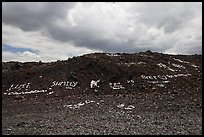 Words made with light rocks against dark lava rocks. Big Island, Hawaii, USA